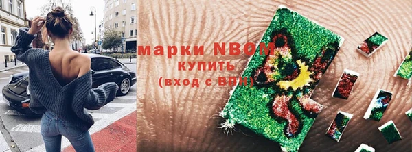 ешки Аркадак