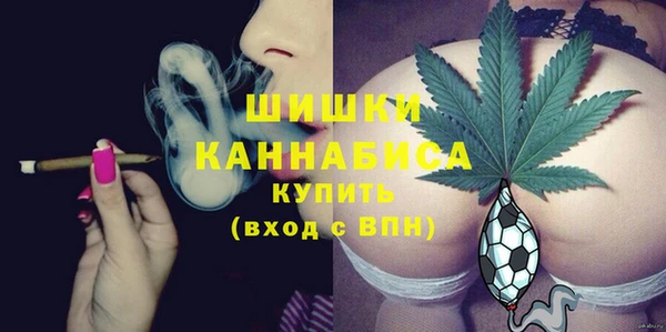 ешки Аркадак