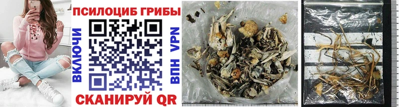 Псилоцибиновые грибы Psilocybe  Сунжа 