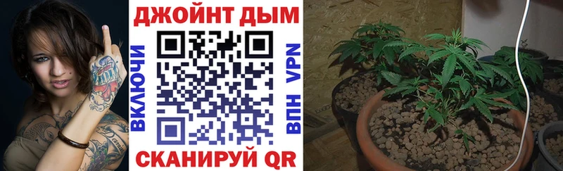 Конопля VHQ  mega tor  Сунжа  где купить наркотик 